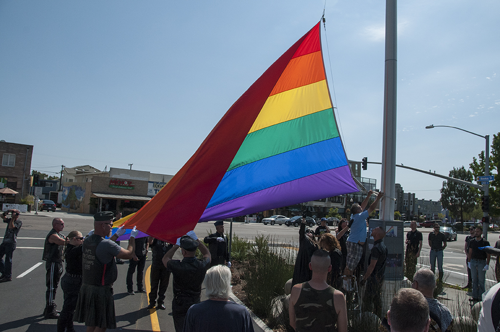 Leather Pride Flag - DSC_7942.jpg